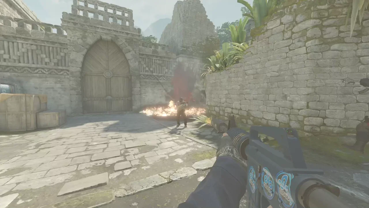 highlight